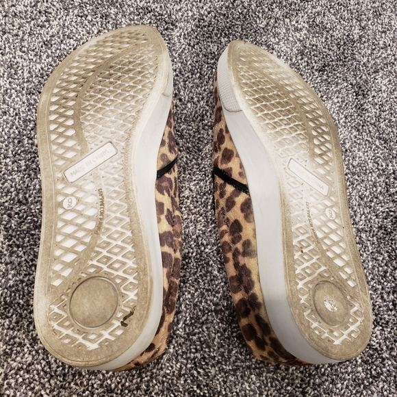 Leopard slides - Picture 3 of 3